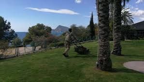 Mantenimiento de jardinería y  fontanería