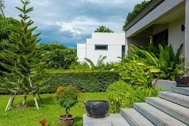 Mantenimiento de jardinería y  fontanería