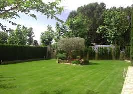 Mantenimiento de jardinería y  fontanería