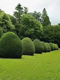 Mantenimiento de jardinería y  fontanería