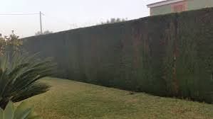 Mantenimiento de jardinería y  fontanería