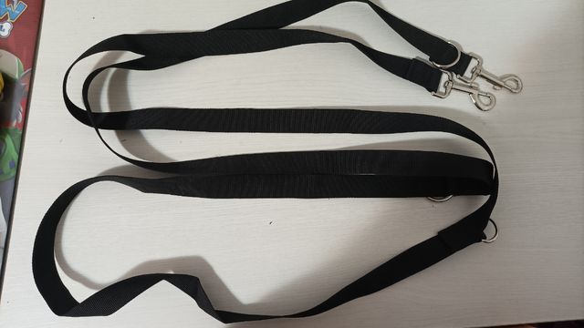 Correa perro 2 enganches