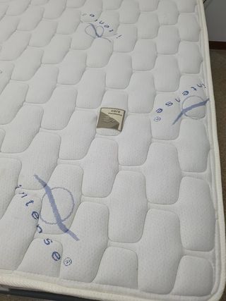 CAMA. ARTICULADA CON MOTOR