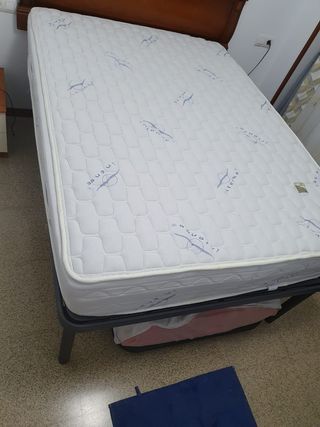 CAMA. ARTICULADA CON MOTOR