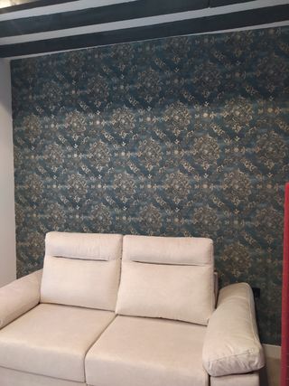 Pintor y empapelador profesional