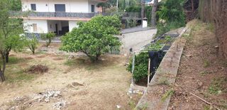 Terreno Alfou