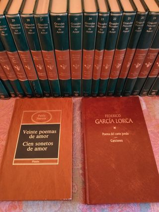 Colección de libros Grandes Novelas