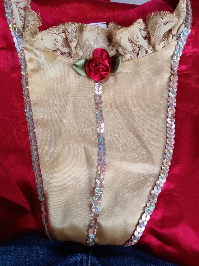 Disfraz de princesa Disney la Bella