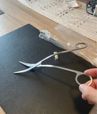 Tijeras curvas 25 cm para plantas de acuario