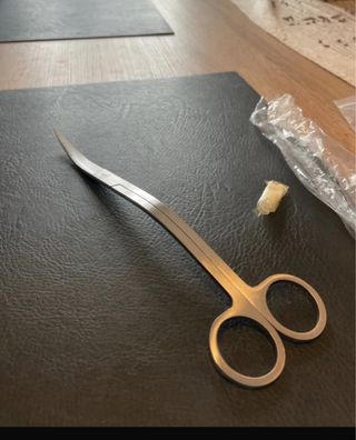 Tijeras curvas 25 cm para plantas de acuario