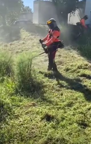 Limpieza de parcelas 