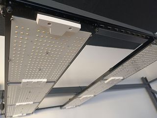 Pantallas LED 320w cultivo indoor