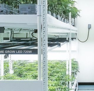 Pantallas LED 320w cultivo indoor