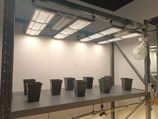 Pantallas LED 320w cultivo indoor