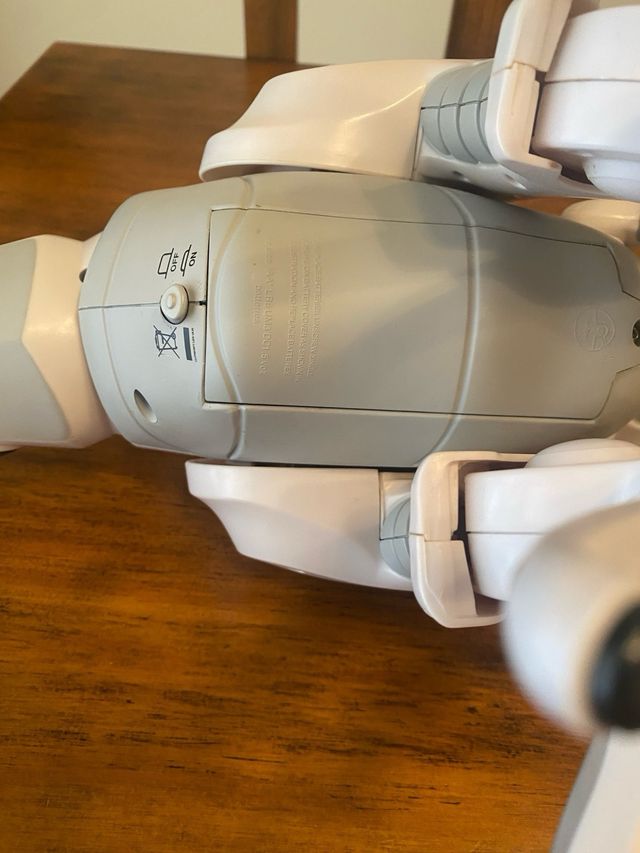 Robot dinosaurio teledirigido