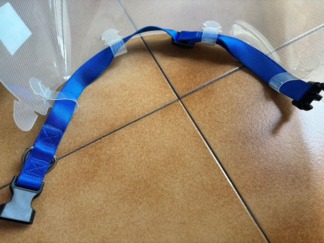 Collare Elisabettiano x cane  kruuse taglia grande