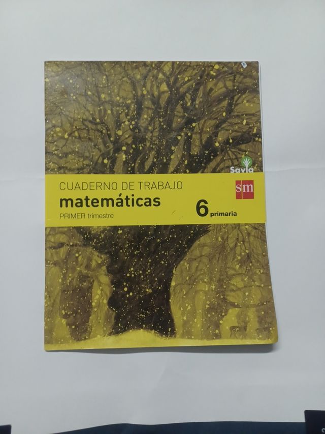 Cuaderno de matemáticas. 6 Primaria, 1 Trimestre. Savia