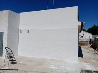 Se ofrece pintor