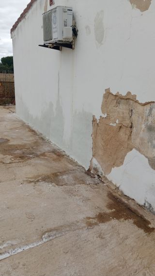 Se ofrece pintor