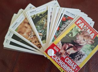 Guía de crías y cachorros