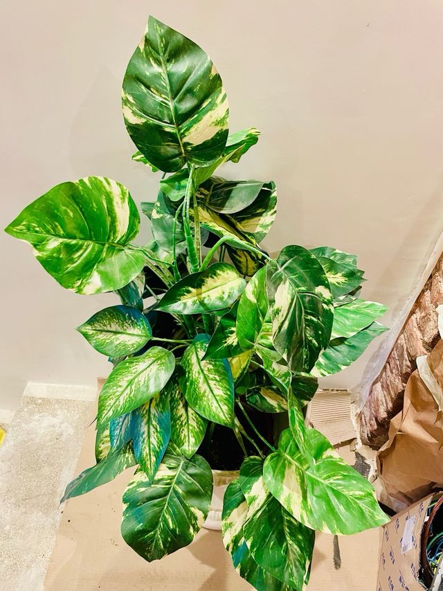 Planta artificial tela 