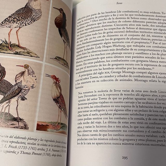 La sabiduría de las aves Tim Birkhead