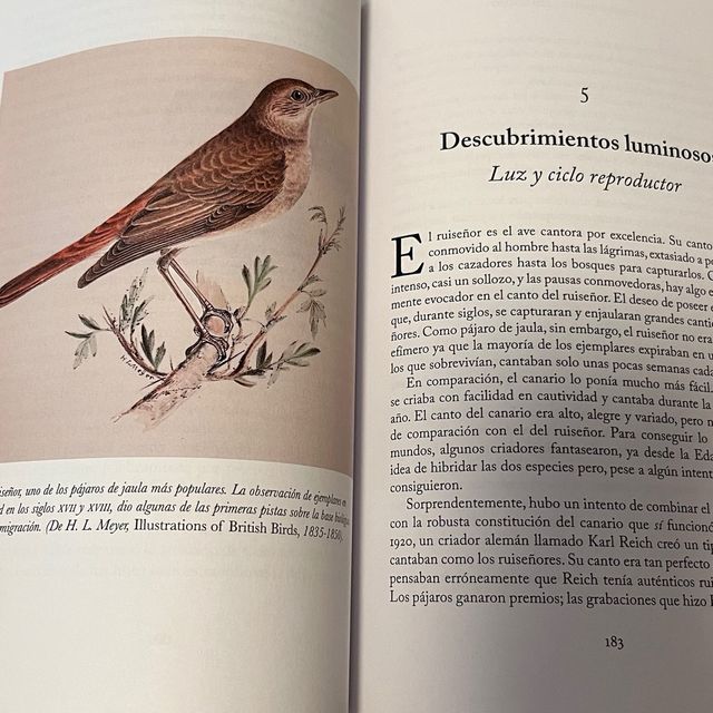 La sabiduría de las aves Tim Birkhead