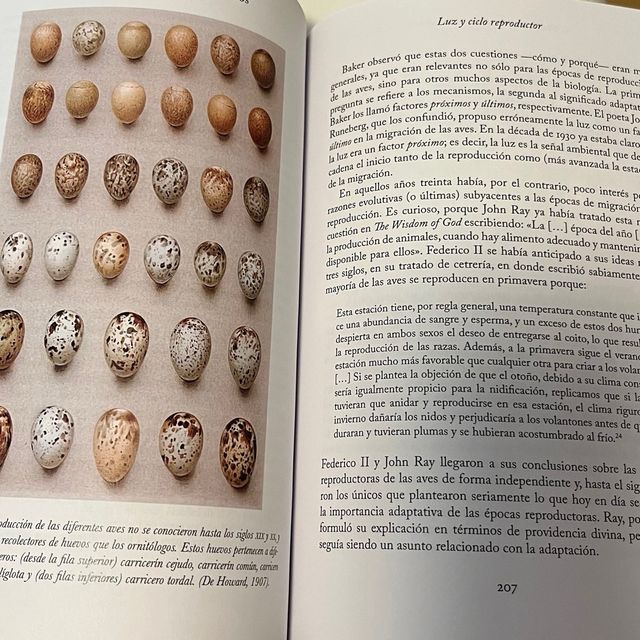 La sabiduría de las aves Tim Birkhead