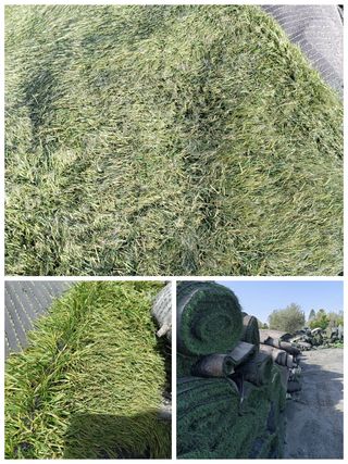 Césped artificial reciclado