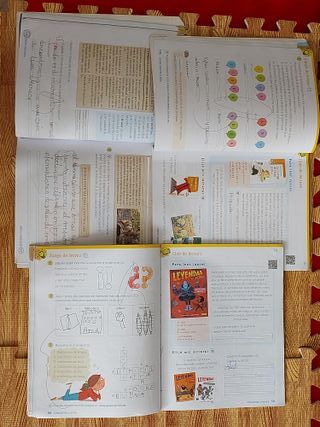 Lengua 2 Primaria Anaya - isbn 978-84-698-9247-3