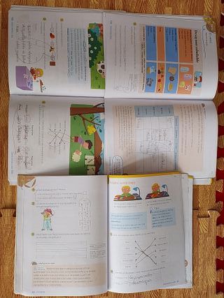 Lengua 2 Primaria Anaya - isbn 978-84-698-9247-3