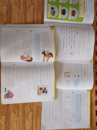 Lengua 2 Primaria Anaya - isbn 978-84-698-9247-3