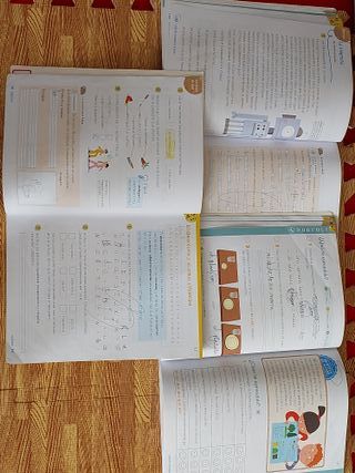 Lengua 2 Primaria Anaya - isbn 978-84-698-9247-3