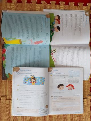 Lengua 2 Primaria Anaya - isbn 978-84-698-9247-3