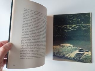 Hago envíos. Jorge L. Borges. Laberintos. Ducmelic