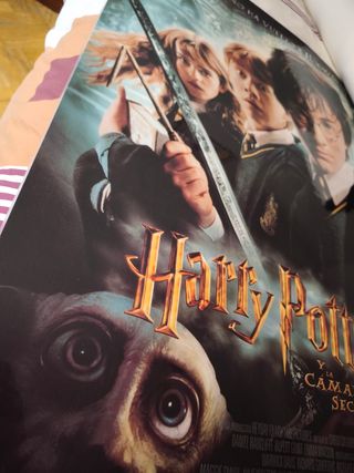 Poster Harry Potter PLASTIFICADO