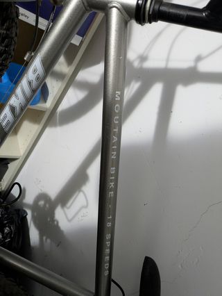 Bicicleta 