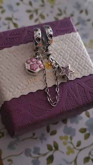 Cadena de seguridad de plata huella perr