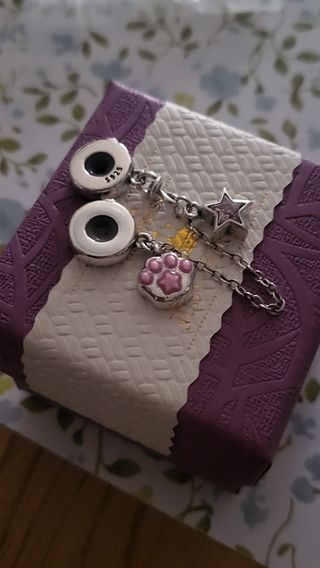 Cadena de seguridad de plata huella perr