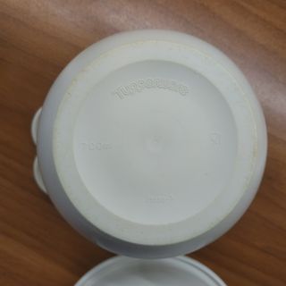 Contenitori Tupperware plastica