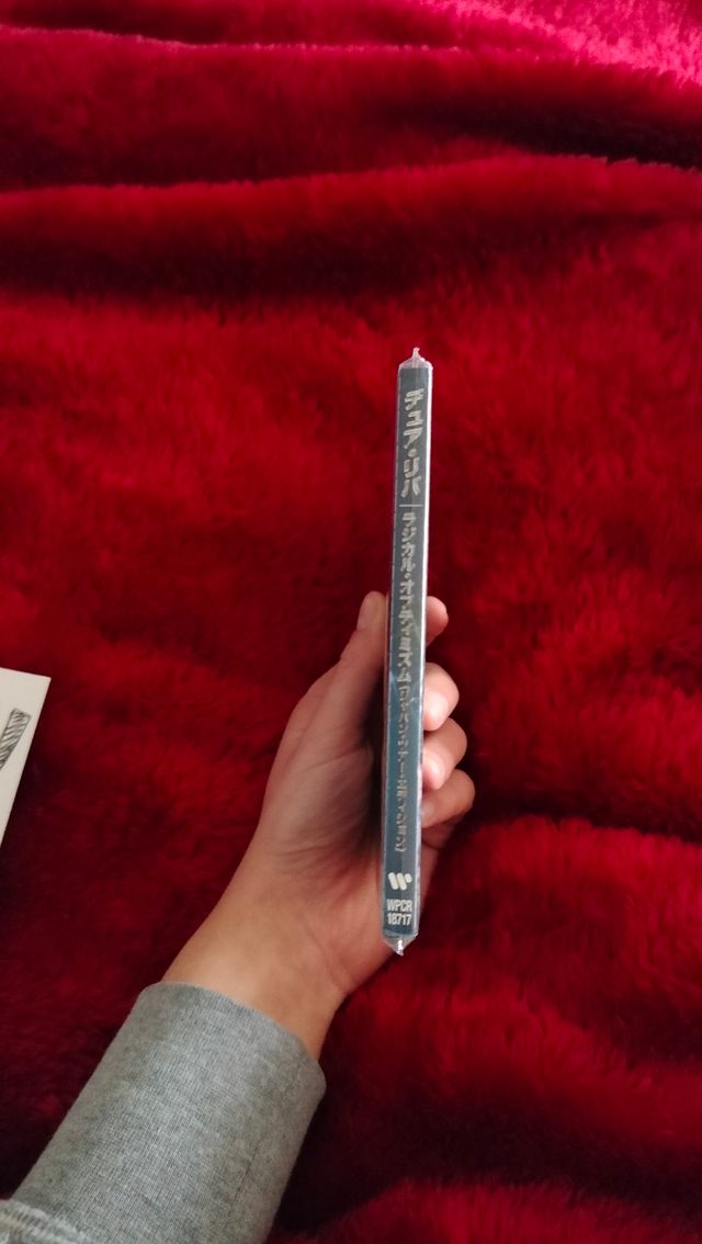 CD "radical optimist x sorayama"