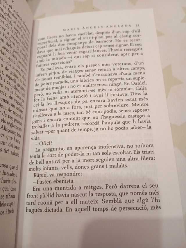 EL VIOLI D`AUSWITCHZ (jove)