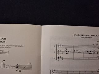G. CAMELI - SALTARELLO ITALIANO Per 3 fisarmoniche