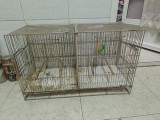 Jaula de 60 cm