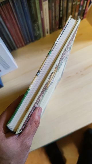 Stardust Neil Gaiman Absolute