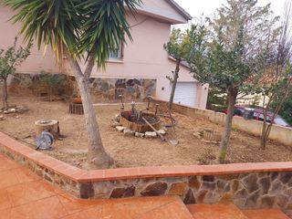 Tala y poda de árboles 626 925286.