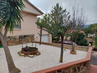 Tala y poda de árboles 626 925286.