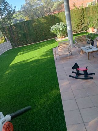 Tala y poda de árboles 626 925286.