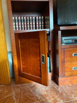 Estanteria para libros y television