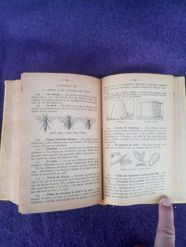 Dalmau 1965 Enciclopedia
